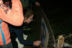 marsz terenowy w Kolbuszowej