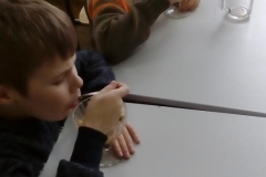 17439460_1232238333558719_365932140_n