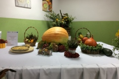 DSCN0005