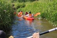 IMG_20220622_155052