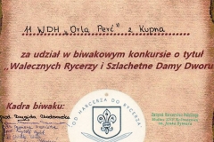 stepinazhpstepinadyplom008_rs