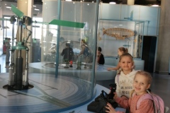 IMG_20260121_091128