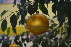 konkursbiolDSCN0024_rs
