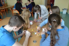 wiosna2017DSCN0002_rs