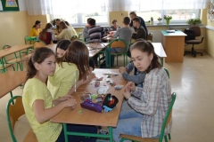 wiosna2017DSCN0007_rs