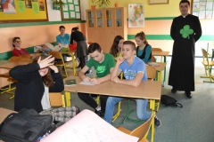 wiosna2017DSCN0009_rs
