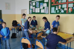 wiosna2017DSCN0018_rs
