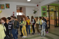 wiosna2017DSCN0022_rs