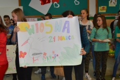 wiosna2017DSCN0036_rs