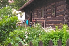 plenszymbarkDSCN0006_rs