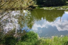IMG_20220818_121431939_HDR