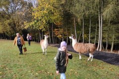 IMG_20221020_092037321