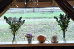 IMG_20221020_095704738_HDR