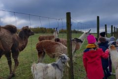 IMG_20221020_101810848_HDR