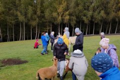 IMG_20221020_102527850_HDR