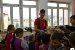 DSCN0016