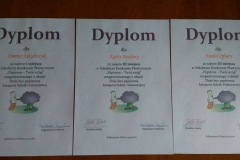 dyplomyplastDSCN0001_rs