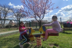 IMG_20250404_131117