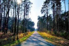IMG_20190407_160913735_HDR