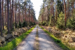 IMG_20200419_161341639_HDR
