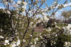 IMG_20200420_122636