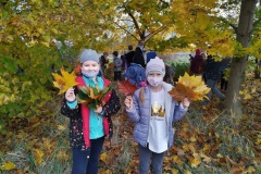 IMG_20201026_111633_3