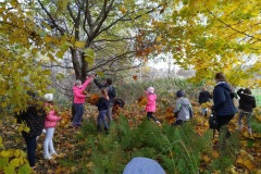 IMG_20201026_111641_4