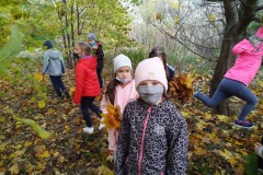 IMG_20201026_111658_4