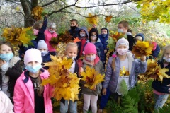 IMG_20201026_111710_4