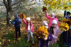 IMG_20201026_112008_4