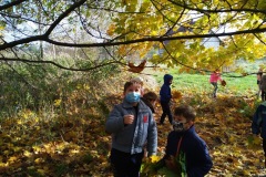 IMG_20201026_112027_3