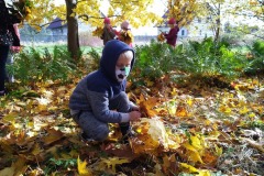 IMG_20201026_112034_2
