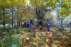 IMG_20201026_112053_3