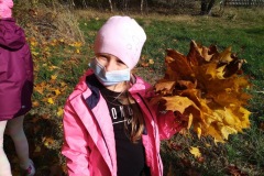 IMG_20201026_112110_3
