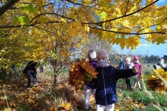 IMG_20201026_112153_3