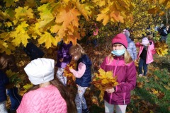 IMG_20201026_112208_4