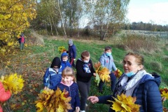 IMG_20201026_112300_4