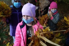 IMG_20201026_112335_4