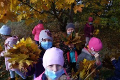 IMG_20201026_112337_4