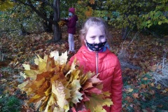 IMG_20201026_112346_3