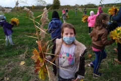 IMG_20201026_112835_4