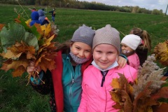 IMG_20201026_112846_3
