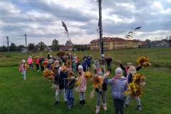 IMG_20201026_113517_3