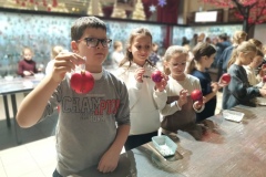 IMG_20241211_093046_1
