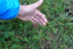 DSCN0024_rs