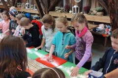 IMG_20231004_094229532