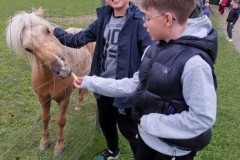 IMG_20250520_121806