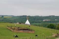 IMG_20250520_122436