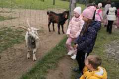 Zdjecie-WhatsApp-2025-05-23-o-12.22.33_432bce2b