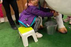 Zdjecie-WhatsApp-2025-05-23-o-12.23.17_fa8f7962